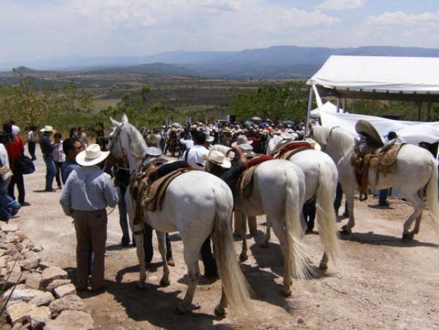 De donde se vean, hermosos caballos tenia