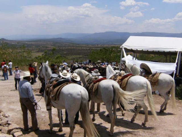 Marchanudo, gitano, dandi y carioso sus nombres