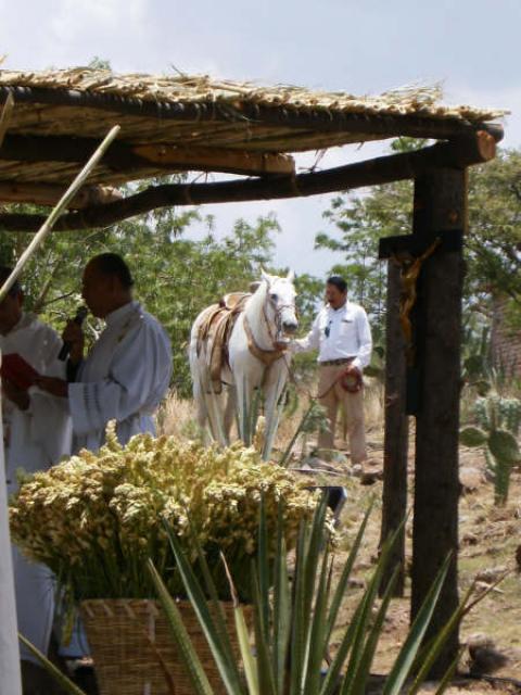 Misa y atras uno de los caballos de Antonio Aguilar