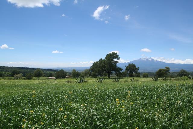 Rancho Del Magueyal - Foto