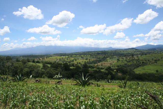 Rancho Del Magueyal - Foto