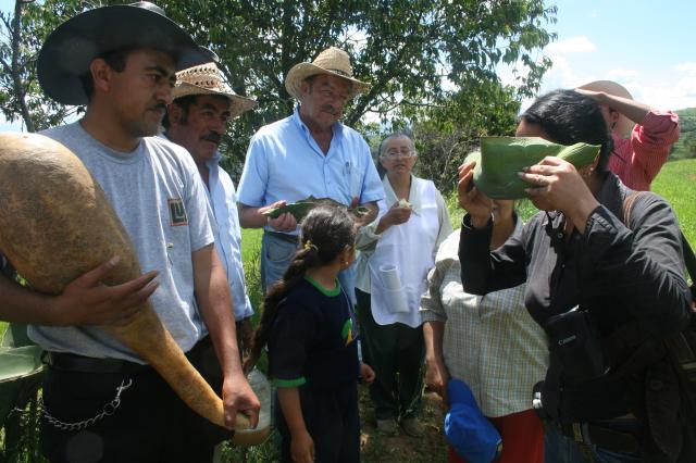 Tomando aguamiel en xoma