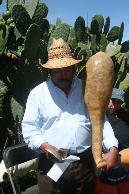 Acocote