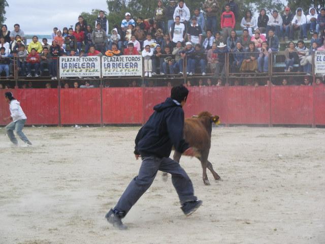 Feria de San Lucas Tecopilco&#8207; - Foto