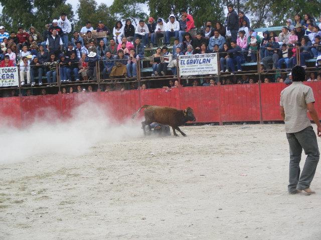 Feria de San Lucas Tecopilco&#8207; - Foto