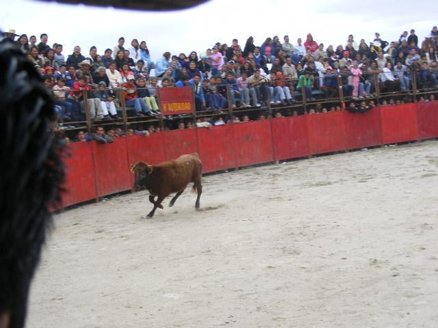Feria de San Lucas Tecopilco&#8207; - Foto
