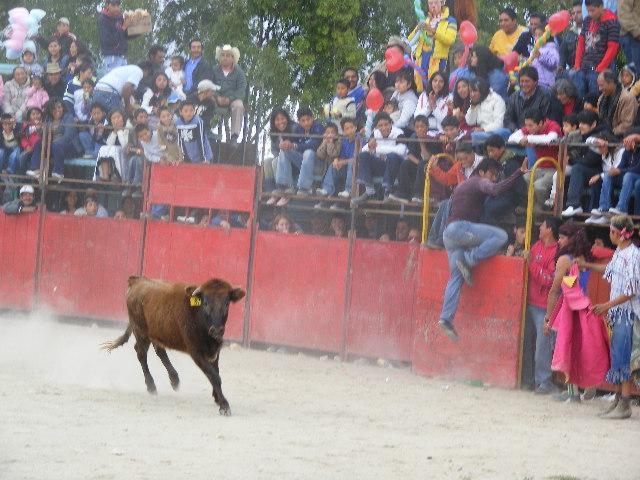 Feria de San Lucas Tecopilco&#8207; - Foto