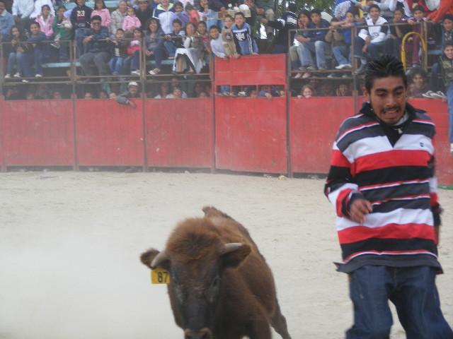 Feria de San Lucas Tecopilco&#8207; - Foto