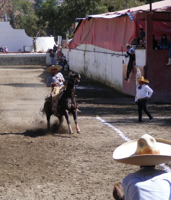 Charreada en la Feria Tlaxcala 2008 - Foto
