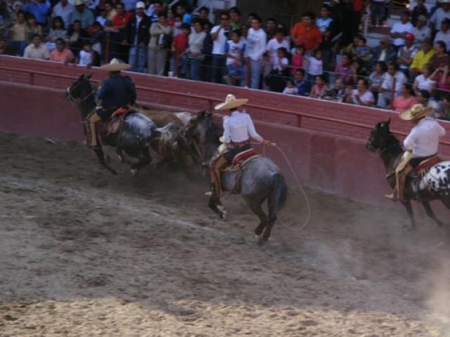 Charreada en la Feria Tlaxcala 2008 - Foto