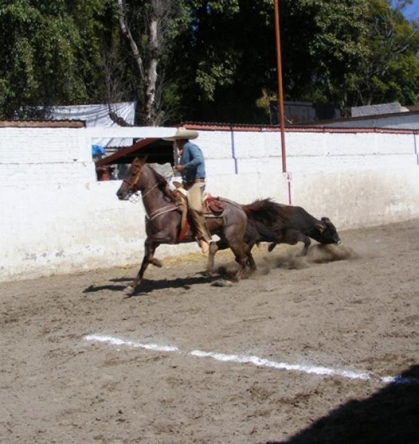 Charreada en la Feria Tlaxcala 2008 - Foto