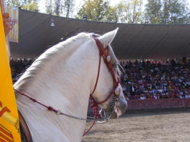 Charreada en la Feria Tlaxcala 2008 - Foto