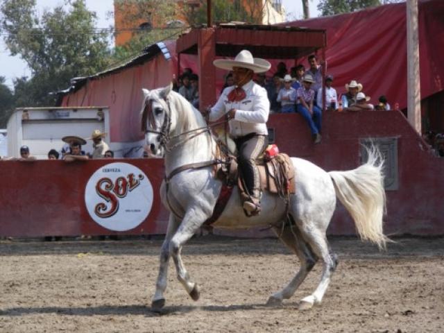 Charreada en la Feria Tlaxcala 2008 - Foto