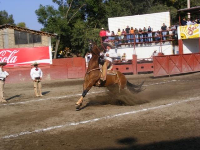Charreada en la Feria Tlaxcala 2008 - Foto
