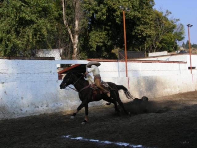 Charreada en la Feria Tlaxcala 2008 - Foto