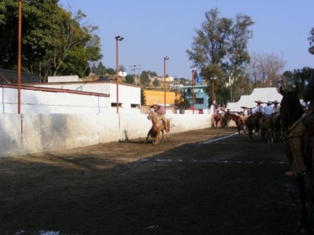 Charreada en la Feria Tlaxcala 2008 - Foto