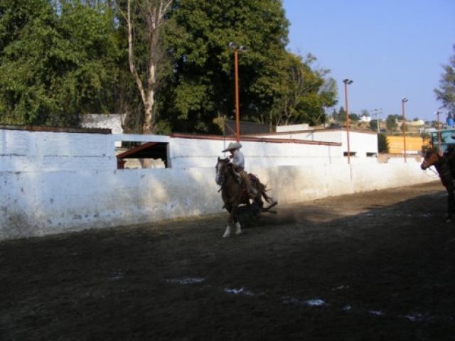 Charreada en la Feria Tlaxcala 2008 - Foto