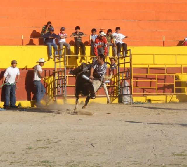 En apuros desde el principo lo puso este torazo de nombre el PAYASO de la Ganaderia el INFIERNITO DE LOS HERMANOS FLOREZ.