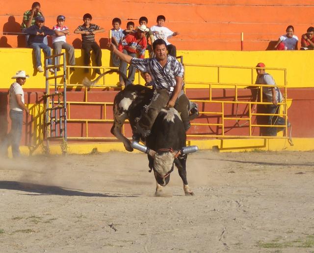 Queriendose acomodar el parro.