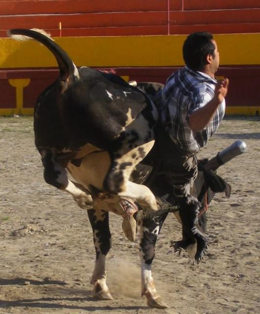 Sin duda alguna que el toro salio con todo desde el mismo Infiernito