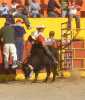  El Pichon de Calpulpan salio en los lomos del hijo del Asesino de la Ganaderia el Tepeyac.