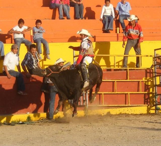 Poderosa Maquina de reparo este Torazo de nombre &quot;EL TERRIBLE&quot;.