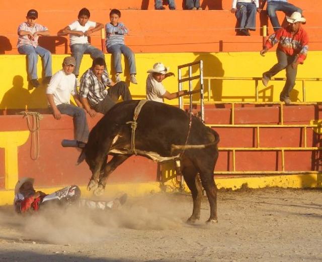 No Cabe duda que los torazos de el &quot;infiernito&quot; de los hermanos Florez hicieron sudar a la palomilla de Calpulalpan.