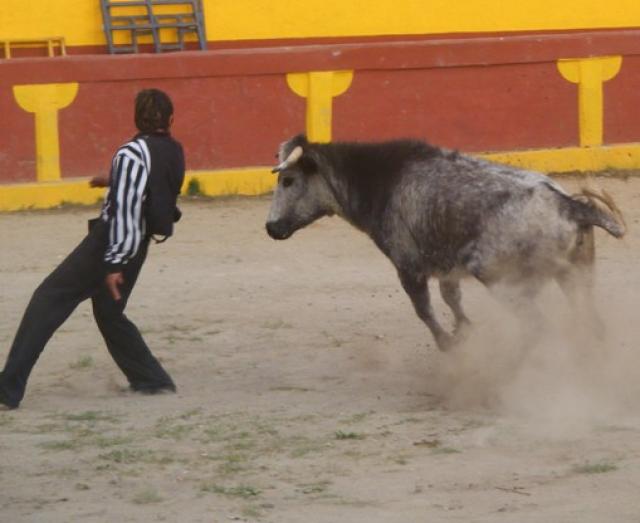 Con buenos Quiebres se lucieron los de la &quot;pandilla&quot;.