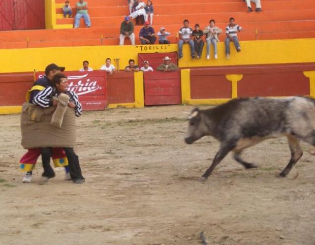 Rejoneando al estilo unico de la &quot;pandilla&quot;.