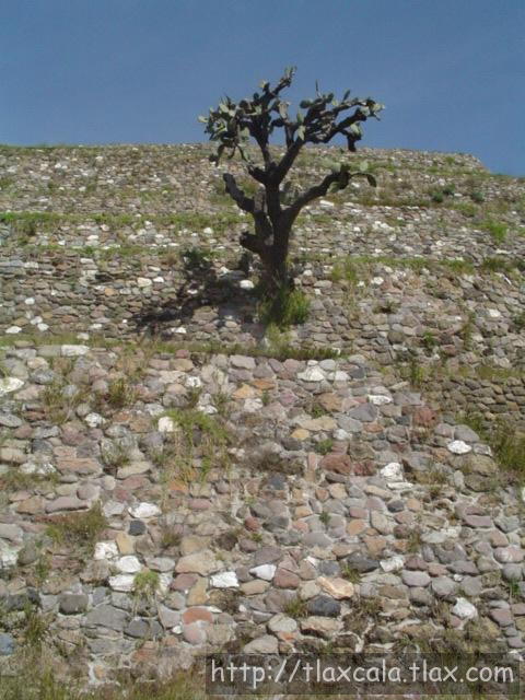 Piramide de las Flores