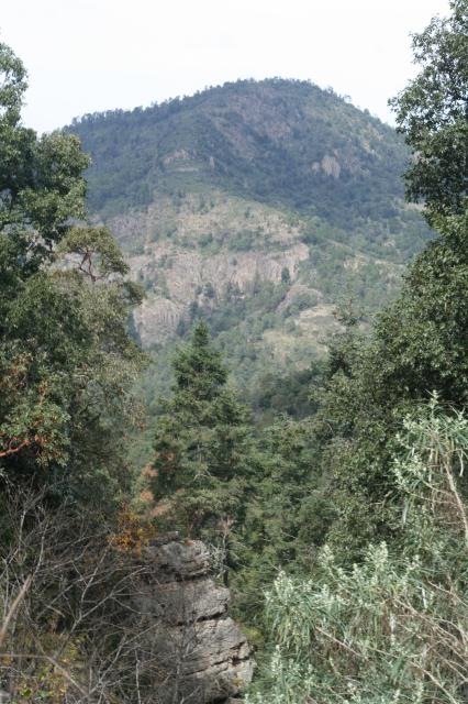 Camino al huilacapitzu - Foto