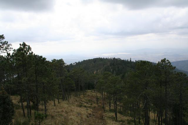 Camino al huilacapitzu - Foto