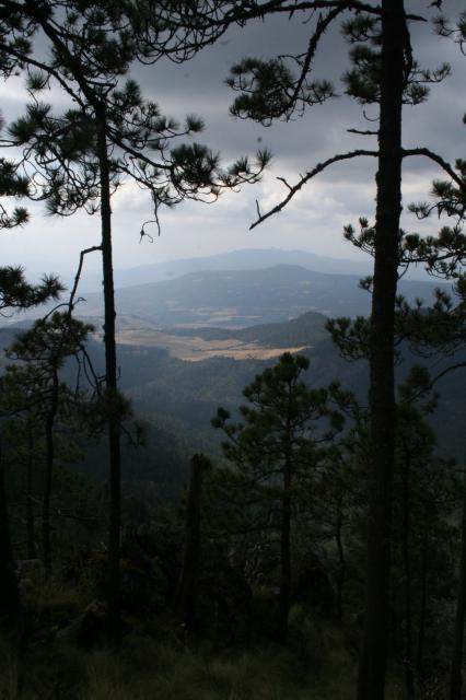 Camino al huilacapitzu - Foto