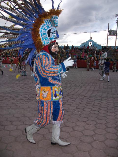 El loro