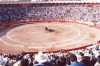 Monumental Plaza de Toros de Apizaco