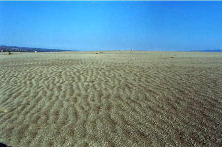 Desierto de Cuapiaxtla