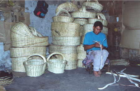 Nopalucan (Artesanas de Palma)